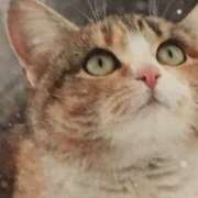 ヒメ日記 2025/02/10 13:34 投稿 三井　３７５ トランス＠クリニック東京　新宿～出張　前立腺トリートメント