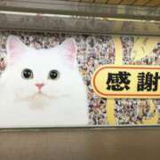 ヒメ日記 2025/02/23 18:43 投稿 三井　３７５ トランス＠クリニック東京　新宿～出張　前立腺トリートメント