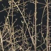 ヒメ日記 2025/02/27 21:20 投稿 三井　３７５ トランス＠クリニック東京　新宿～出張　前立腺トリートメント