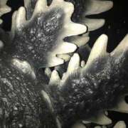 ヒメ日記 2025/03/29 20:25 投稿 三井　３７５ トランス＠クリニック東京　新宿～出張　前立腺トリートメント