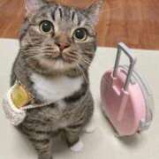 ヒメ日記 2025/03/30 20:56 投稿 三井　３７５ トランス＠クリニック東京　新宿～出張　前立腺トリートメント