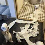 ヒメ日記 2025/04/14 16:17 投稿 三井　３７５ トランス＠クリニック東京　新宿～出張　前立腺トリートメント