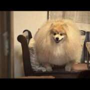 ヒメ日記 2025/06/16 21:22 投稿 三井　３７５ トランス＠クリニック東京　新宿～出張　前立腺トリートメント