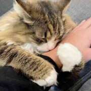 ヒメ日記 2025/07/25 18:53 投稿 三井　３７５ トランス＠クリニック東京　新宿～出張　前立腺トリートメント