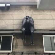 ヒメ日記 2025/07/25 19:15 投稿 三井　３７５ トランス＠クリニック東京　新宿～出張　前立腺トリートメント