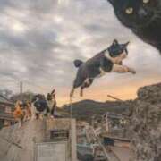 ヒメ日記 2025/08/02 20:30 投稿 三井　３７５ トランス＠クリニック東京　新宿～出張　前立腺トリートメント