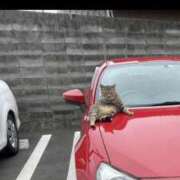 ヒメ日記 2025/08/21 18:01 投稿 三井　３７５ トランス＠クリニック東京　新宿～出張　前立腺トリートメント