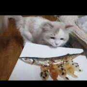 ヒメ日記 2025/08/24 18:40 投稿 三井　３７５ トランス＠クリニック東京　新宿～出張　前立腺トリートメント