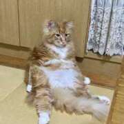 ヒメ日記 2025/08/26 15:38 投稿 三井　３７５ トランス＠クリニック東京　新宿～出張　前立腺トリートメント