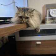 ヒメ日記 2025/09/01 17:46 投稿 三井　３７５ トランス＠クリニック東京　新宿～出張　前立腺トリートメント