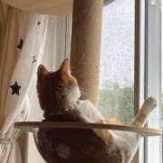 ヒメ日記 2025/09/15 14:52 投稿 三井　３７５ トランス＠クリニック東京　新宿～出張　前立腺トリートメント