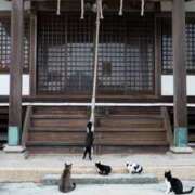 ヒメ日記 2025/09/29 19:59 投稿 三井　３７５ トランス＠クリニック東京　新宿～出張　前立腺トリートメント