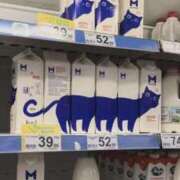 ヒメ日記 2025/10/13 16:43 投稿 三井　３７５ トランス＠クリニック東京　新宿～出張　前立腺トリートメント