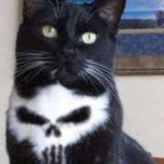 ヒメ日記 2025/10/20 16:05 投稿 三井　３７５ トランス＠クリニック東京　新宿～出張　前立腺トリートメント