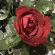 ヒメ日記 2025/10/28 19:59 投稿 三井　３７５ トランス＠クリニック東京　新宿～出張　前立腺トリートメント