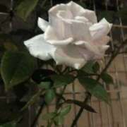 ヒメ日記 2025/10/28 20:17 投稿 三井　３７５ トランス＠クリニック東京　新宿～出張　前立腺トリートメント