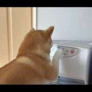 ヒメ日記 2025/11/14 19:46 投稿 三井　３７５ トランス＠クリニック東京　新宿～出張　前立腺トリートメント