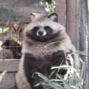 ヒメ日記 2025/11/19 20:27 投稿 三井　３７５ トランス＠クリニック東京　新宿～出張　前立腺トリートメント