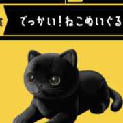ヒメ日記 2025/11/20 14:50 投稿 三井　３７５ トランス＠クリニック東京　新宿～出張　前立腺トリートメント