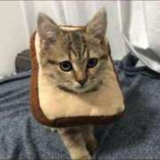 ヒメ日記 2025/12/04 19:23 投稿 三井　３７５ トランス＠クリニック東京　新宿～出張　前立腺トリートメント