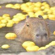 ヒメ日記 2025/12/09 21:06 投稿 三井　３７５ トランス＠クリニック東京　新宿～出張　前立腺トリートメント