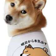 ヒメ日記 2026/01/19 19:19 投稿 三井　３７５ トランス＠クリニック東京　新宿～出張　前立腺トリートメント