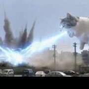 ヒメ日記 2026/02/19 19:19 投稿 三井　３７５ トランス＠クリニック東京　新宿～出張　前立腺トリートメント