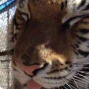 ヒメ日記 2026/03/10 19:24 投稿 三井　３７５ トランス＠クリニック東京　新宿～出張　前立腺トリートメント