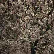 ヒメ日記 2026/04/07 17:45 投稿 三井　３７５ トランス＠クリニック東京　新宿～出張　前立腺トリートメント