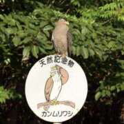 ヒメ日記 2026/04/16 19:19 投稿 三井　３７５ トランス＠クリニック東京　新宿～出張　前立腺トリートメント