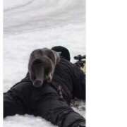 ヒメ日記 2026/04/17 17:12 投稿 三井　３７５ トランス＠クリニック東京　新宿～出張　前立腺トリートメント