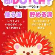 ヒメ日記 2025/12/20 12:21 投稿 あかり 即アポマダム～名古屋店～