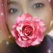 ヒメ日記 2025/05/28 06:00 投稿 しずか(梅田) 妻天 尼崎店