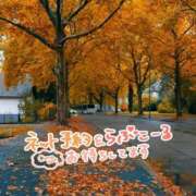 ヒメ日記 2024/12/11 19:54 投稿 いずみ　【ぽっちゃり】 久留米デリヘルセンター