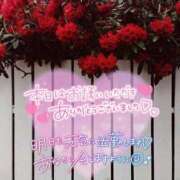 ヒメ日記 2025/03/14 03:26 投稿 いずみ　【ぽっちゃり】 久留米デリヘルセンター