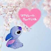 ヒメ日記 2025/03/30 17:18 投稿 いずみ　【ぽっちゃり】 久留米デリヘルセンター