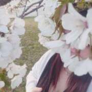 ヒメ日記 2025/04/02 22:03 投稿 いずみ　【ぽっちゃり】 久留米デリヘルセンター