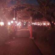 ヒメ日記 2025/04/13 03:26 投稿 いずみ　【ぽっちゃり】 久留米デリヘルセンター