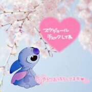 ヒメ日記 2025/04/20 17:46 投稿 いずみ　【ぽっちゃり】 久留米デリヘルセンター