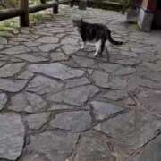 ヒメ日記 2025/05/28 22:50 投稿 いずみ　【ぽっちゃり】 久留米デリヘルセンター