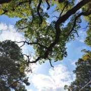 ヒメ日記 2025/06/21 16:56 投稿 いずみ　【ぽっちゃり】 久留米デリヘルセンター