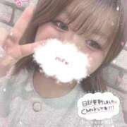 あかね あかね（clubさくら日本橋店） club さくら日本橋店