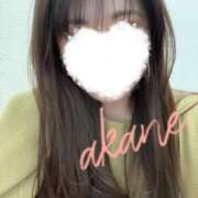 ヒメ日記 2024/12/30 01:17 投稿 吉永　あかね NADIA東京新橋店