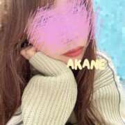 吉永　あかね ♡ NADIA東京新橋店