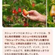 ヒメ日記 2025/07/22 23:48 投稿 久保田　ゆき プルプル京都性感エステ　はんなり