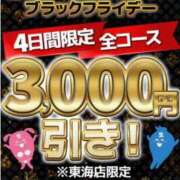 ヒメ日記 2024/11/19 12:05 投稿 かのん 逢って30秒で即尺