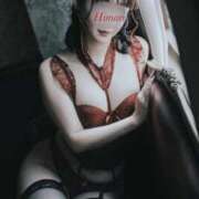 ヒメ日記 2025/07/28 11:38 投稿 ひまり フォーシーズン