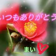 ヒメ日記 2025/11/11 19:25 投稿 まい☆本当に業界初・欲求不満人妻☆ 奥さま日記（今治店）