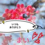 ヒメ日記 2026/01/10 18:49 投稿 まい☆本当に業界初・欲求不満人妻☆ 奥さま日記（今治店）