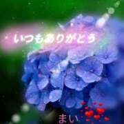 ヒメ日記 2026/06/27 18:49 投稿 まい☆本当に業界初・欲求不満人妻☆ 奥さま日記（今治店）
